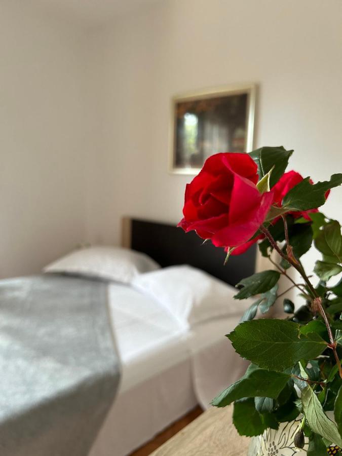 Guesthouse Klecak Cavtat Bagian luar foto