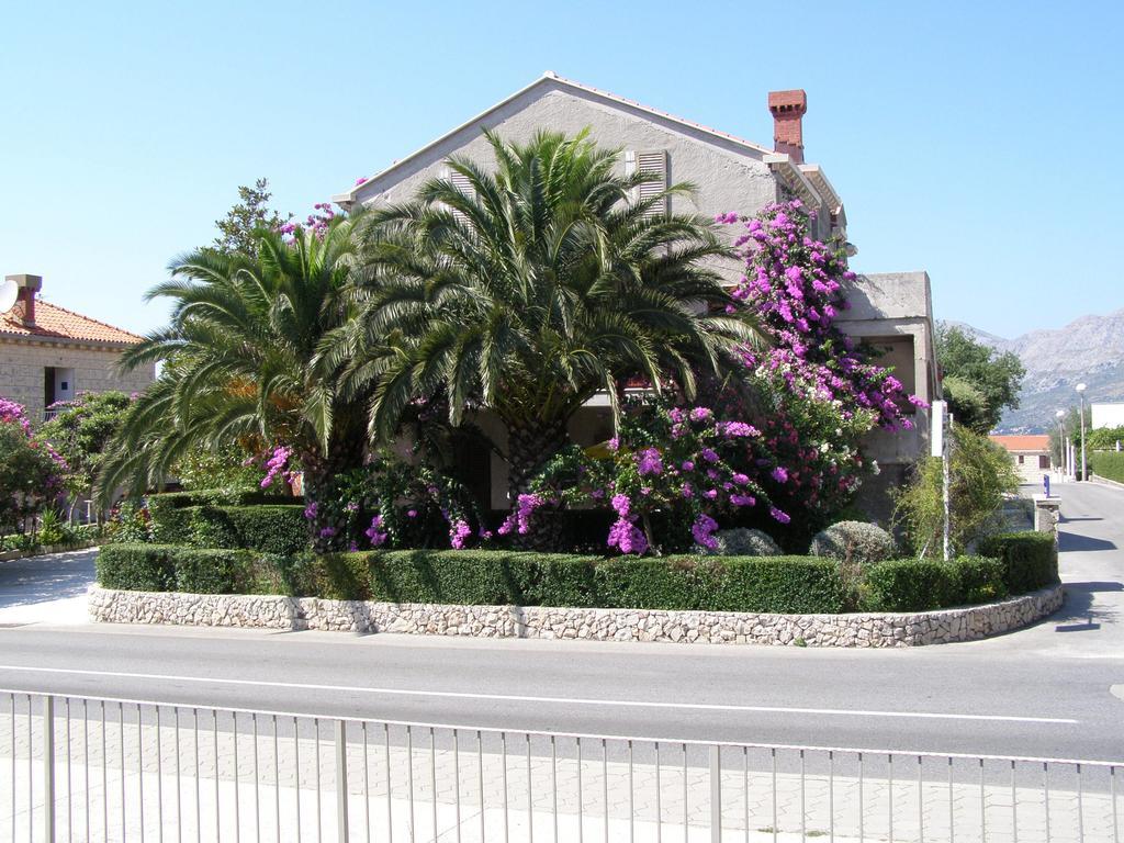 Guesthouse Klecak Cavtat Bagian luar foto